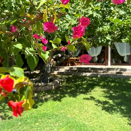 Villa Niloan *