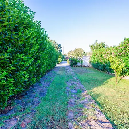 Villa Niloan Olbia