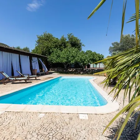 Niloan Villa Olbia